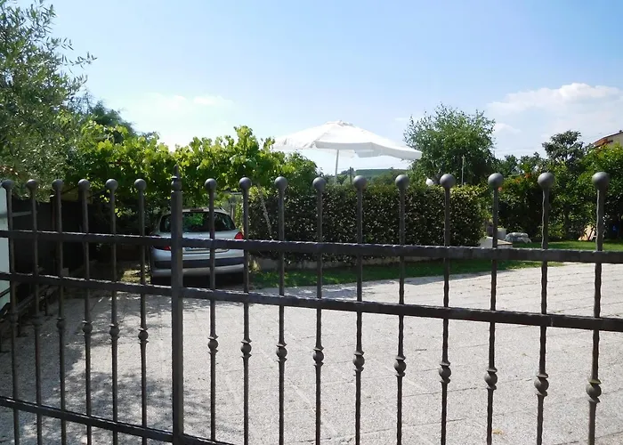 In The Heart Of Brda Wine Region, Darinka Marinic * דוברובו